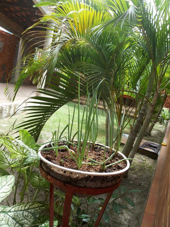 Toca Do Vaidoso Hotel Barreirinhas Exterior foto